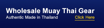 wholesale Muay Thai equipments